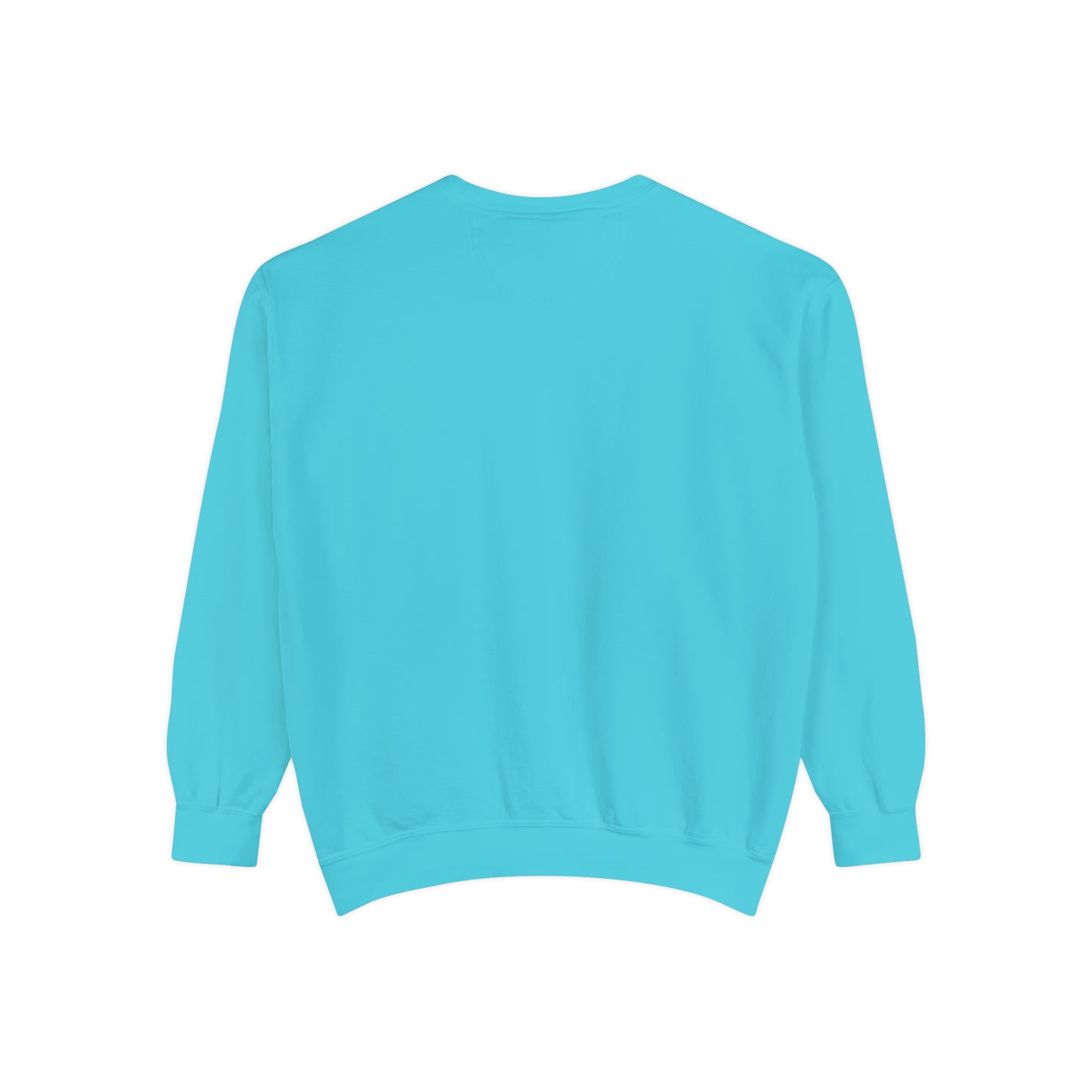 Spoiler IDC Unisex Garment-Dyed Sweatshirt