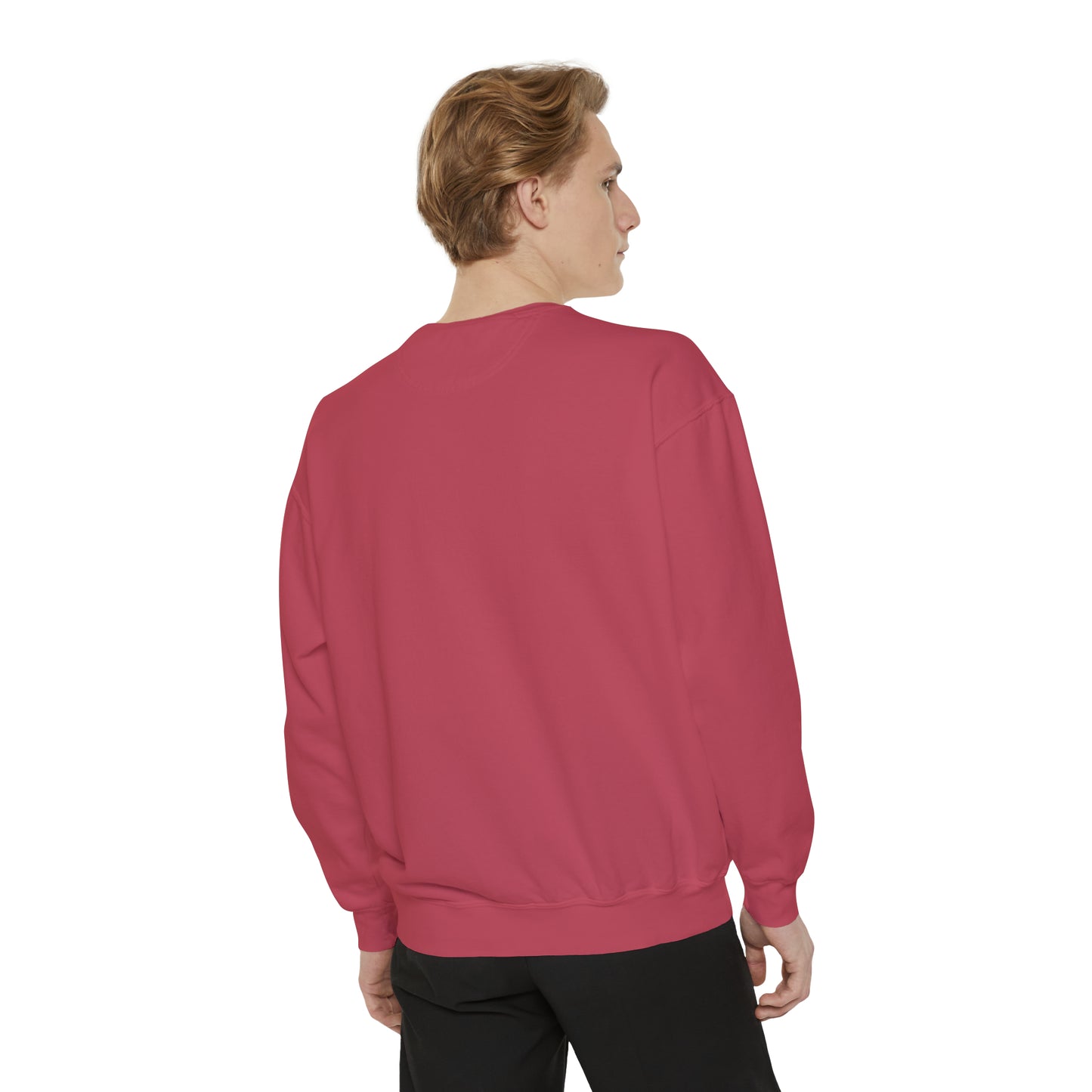 Snarky Unisex Garment-Dyed Sweatshirt