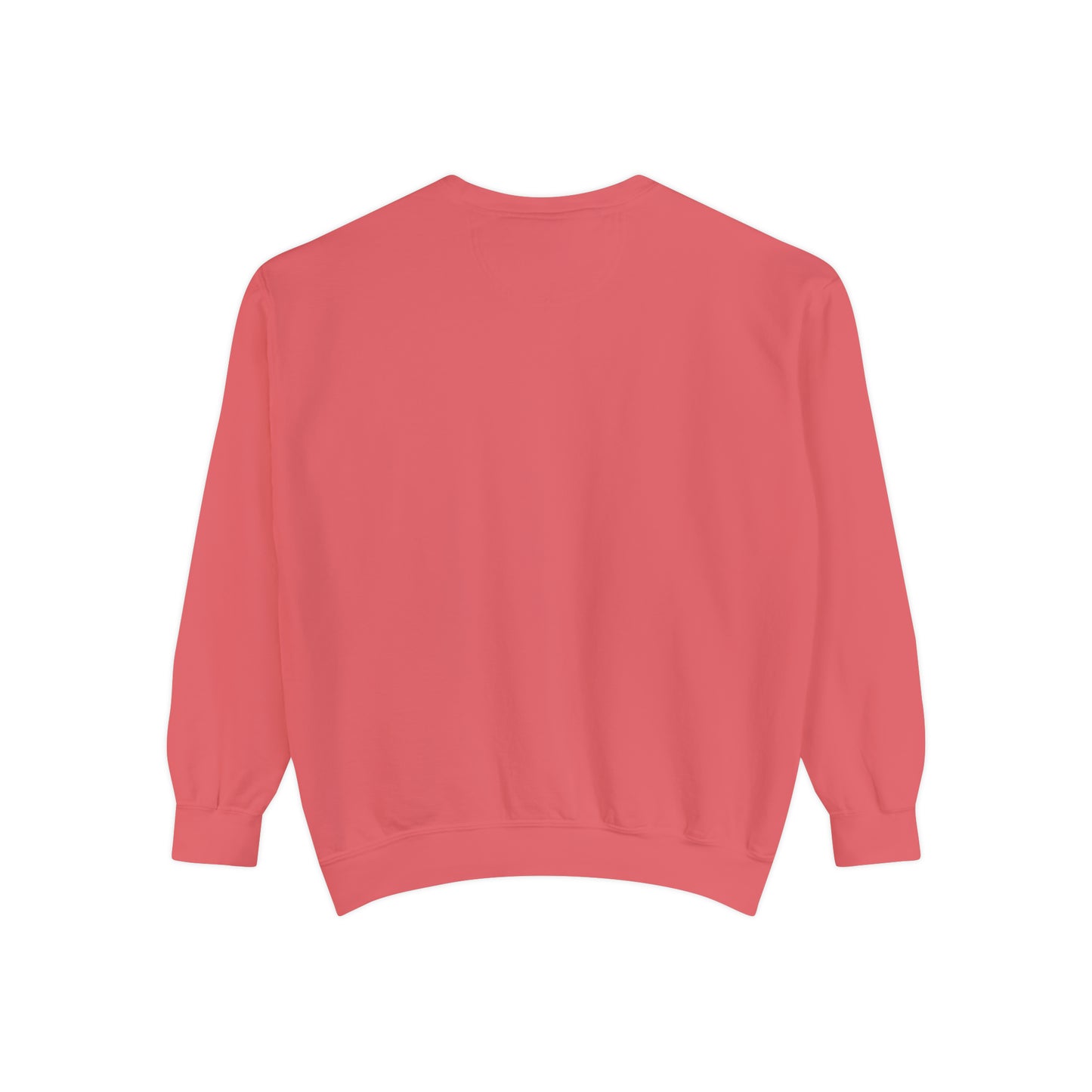 Spoiler IDC Unisex Garment-Dyed Sweatshirt